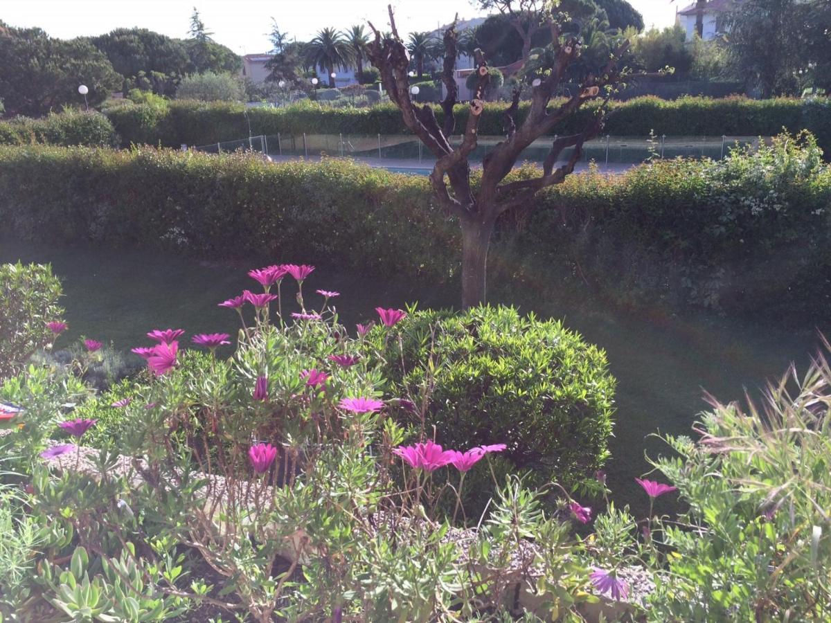 Appartement 2 pieces, renove, 2 piscines+tennis, mer, climatisation Antibes Esterno foto