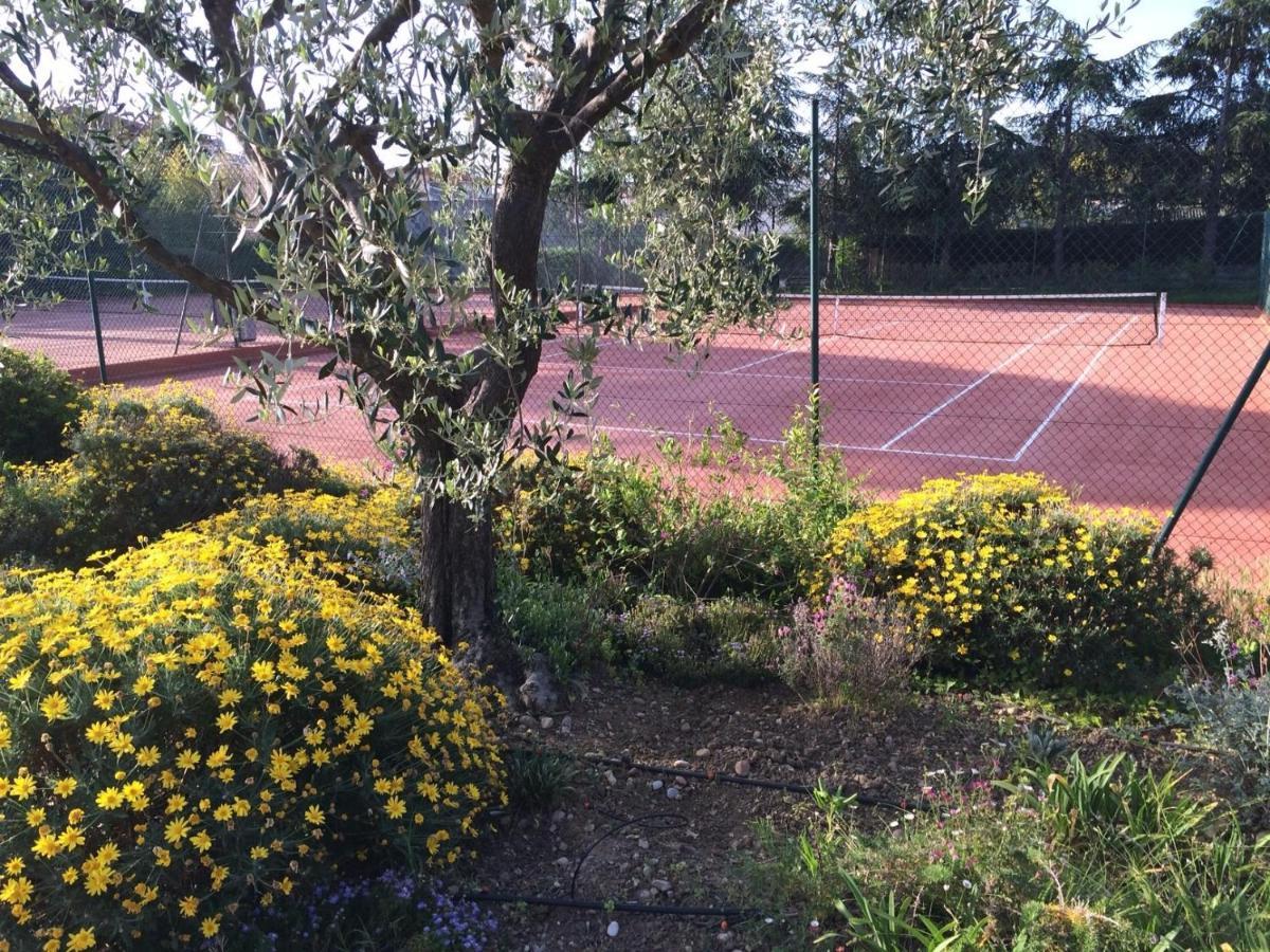 Appartement 2 pieces, renove, 2 piscines+tennis, mer, climatisation Antibes Esterno foto